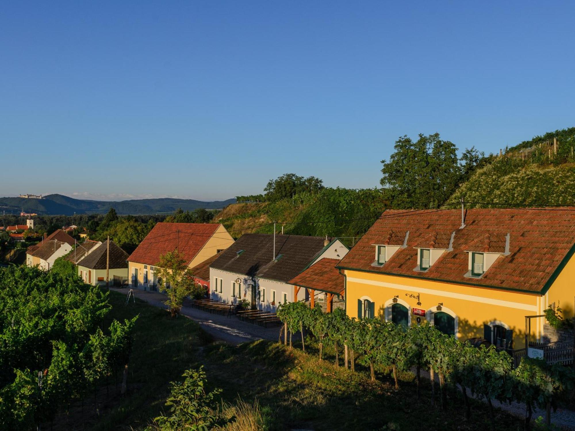 Hotel Gaestehaus Familie Trachsler Rohrendorf bei Krems Zewnętrze zdjęcie